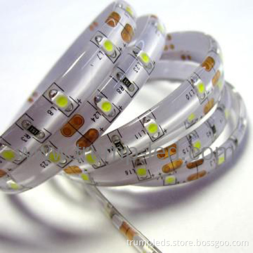 Wholesale waterproof 12v /24v dimmable led flex strip light
